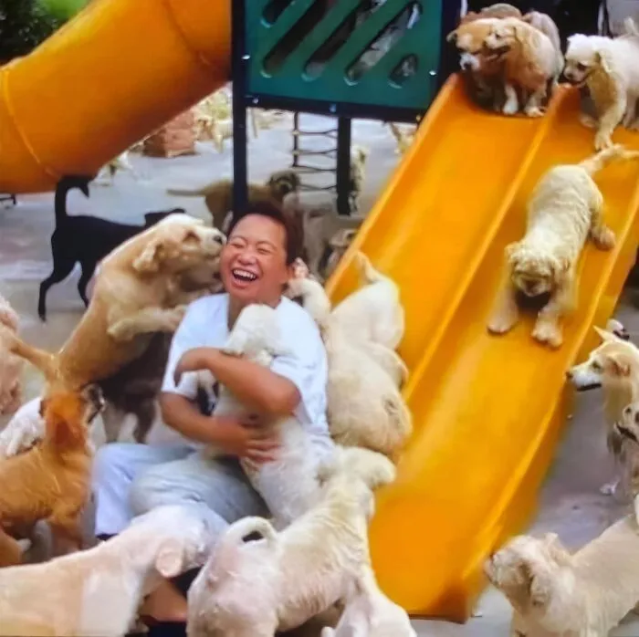 23 Historias reconfortantes que demuestran que no nos merecemos a los animales