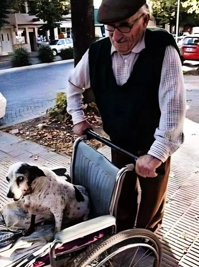 50 Uplifting Posts That Prove We Don’t Deserve Animals, As Shared On This FB Page