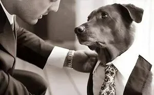 50 Uplifting Posts That Prove We Don’t Deserve Animals, As Shared On This FB Page