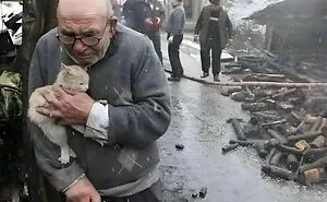 50 Uplifting Posts That Prove We Don’t Deserve Animals, As Shared On This FB Page