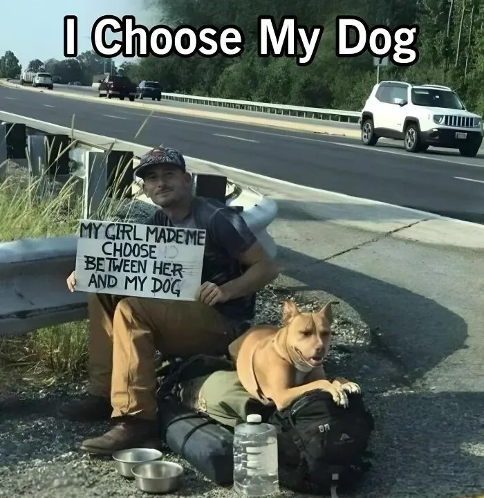 50 Uplifting Posts That Prove We Don’t Deserve Animals, As Shared On This FB Page