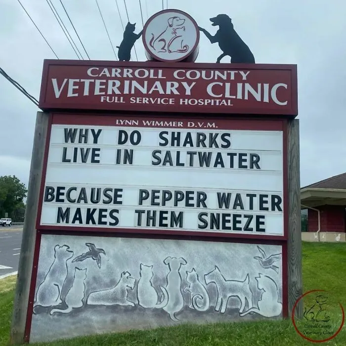 No Fleas, Just Jokes: 40 Signs That Had Tails Wagging (New Pics)
