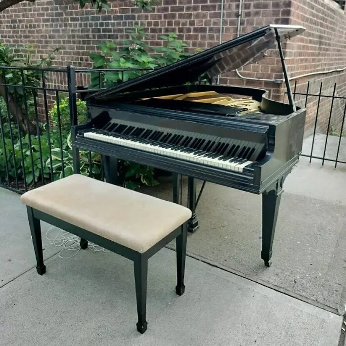 One Man’s Trash, Another’s Jackpot: 35 Wild Stooping Discoveries In New York (New Pics)