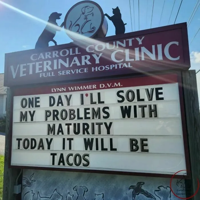 No Fleas, Just Jokes: 40 Signs That Had Tails Wagging (New Pics)