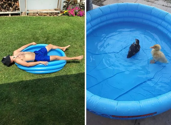 A  <a Style="Display:inline;" Href="Https://Www.amazon.com/Intex-Crystal-Blue-Inflatable-Pool/Dp/B000sn61uc?crid=1xxp47om1z7pd&dib=eyj2ijoimsj9.9dixn5cmu3xuoci5kb02akndbc8wwoa0f7bf7f0jbzl-Ma0yuyzw96pu4lccfak796yhfflayzicufuekyeayzzzv1usorlokwrrasmtoabra1mhr_iju2cokjakv0b2kuwanwmihhkzmbxngvnbmpud01tm2kve_bhnyyppfjhgnyv7fyymdq4jjbsgbm9_r_bw6zndvrf5ofezqkcugvi3cgn_egr3n_oowuxb2f_5gpbzrd9fotlma_vz6n94cr_afhbjkum-Grkyg-Eqs45b-Ynesbkx_hlem4ccnpq.-7tktqimyyzpuqmc4rpnixxu91euejgd7d9hn4ekr0w&dib_tag=se&keywords=kiddie+pool&qid=1723809117&sprefix=water+plants+while+on+vacation+with+a+kiddie+pool%2caps%2c693&sr=8-7&linkcode=ll1&tag=bpparrot-20&linkid=651be1a2de6e2a10b618c57205b8479d&language=en_us&ref_=as_li_ss_tl" Target="_blank">     <span Style="Font:inherit;color:#d74b1f;"> Kiddie Pool</Span>  Can Become A Self-Watering System