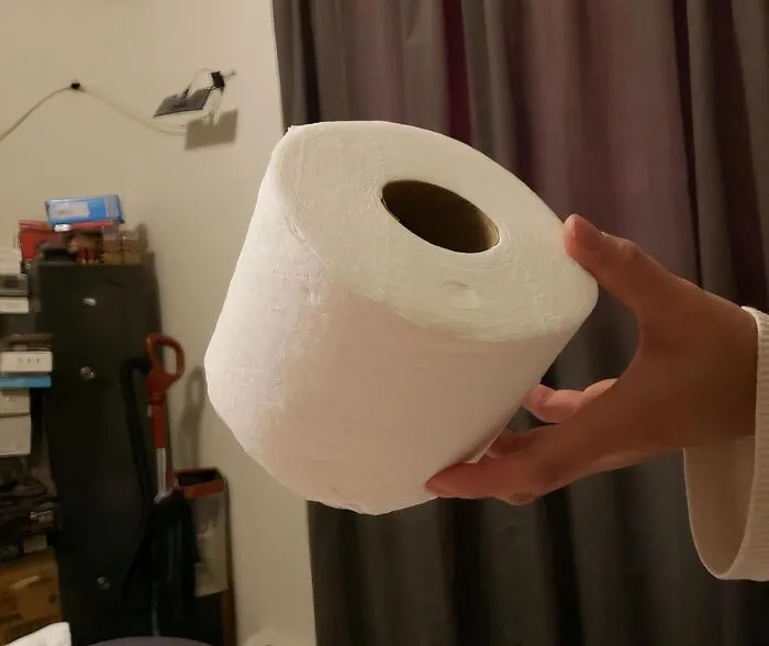  <a Style="Display:inline;" Href="Https://Www.amazon.com/Charmin-Toilet-Family-Cushiony-Packaging/Dp/B07986pwd3?ie=utf8&linkcode=ll1&tag=bpparrot-20&linkid=cead5a69115d539c288baf03f3678f17&language=en_us&ref_=as_li_ss_tl" Target="_blank">     <span Style="Font:inherit;color:#d74b1f;"> Toilet Paper </Span>  Tubes Are Ideal Seed Pods