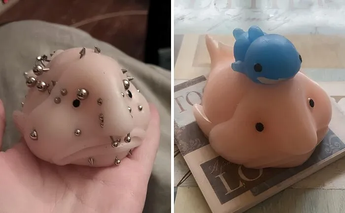 Ugly Is The New Cute! Meet Sunny, The <a Style="Display:inline;" Href=" Https://Www.amazon.com/Accoutrements-Sunny-Bolbfish-Novelty-Squishy/Dp/B07yswxglh?crid=2muynyonejbzk&dib=eyj2ijoimsj9.v93-R0scgp8n8yobqawgzcaysdhilyz8g8p4jlxc2s2mau0qcy3bz-K8ngbob-Q5k8fpwu6_cf3mcrtfarxo-Pumcyxjoceffodvyzo_tifwizwyemajfeagonfbv-Fcwp6jrzlauw2hsryufv4kxmac7arxmw9nmt4a3j_kl_mtblr0w19az-Zbwmyaywcqjx74wss9ilmxouj0bhzhwfzlmenljwsjj6ssxlz2r_e-Ieusegtlvmyf_a3khbms4zp4wohyxnjcmhsvef0v6z_4i4b-Wgxcons3llrsm40.qw8anmwytwt0onf9x3rqjfurxsqww7yzdvflxmgfyfu&dib_tag=se&keywords=blobfish+stress+toy&qid=1724051078&sprefix=blobfish+stress+toy%2caps%2c222&sr=8-5&linkcode=ll1&tag=bplobster-20&linkid=7e0fbc4e767f291ff6a2cbb82ed6c226&language=en_us&ref_=as_li_ss_tl" Target="_blank">     <span Style="Font: Inherit; Color: #d74b1f;"> Blobfish Squishy Toy </Span> That'll Make You Question Everything You Know About Adorable