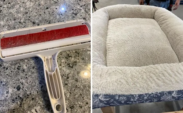 Your Couch Will Be Fur-Ever Grateful For This <a Style="Display:inline;" Href=" Https://Www.amazon.com/Pet-Dog-Cat-Hair-Remover-Couch/Dp/B00bagtnaq?ie=utf8&linkcode=ll1&tag=bpkiwi-20&linkid=e8c3d58230e4ba9a6b74e63863b3f531&language=en_us&ref_=as_li_ss_tl" Target="_blank">     <span Style="Font: Inherit; Color: #d74b1f;"> Chom Chom Roller</Span>