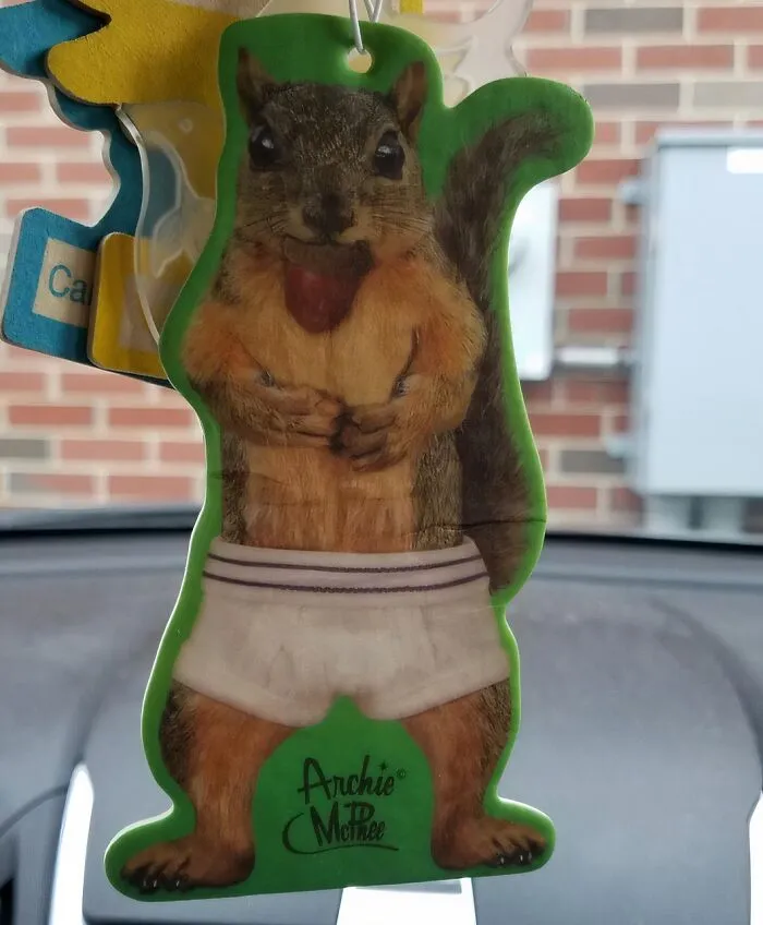 Who Needs A Boring Air Freshener When You Can Have A <a Style="Display:inline;" Href=" Https://Www.amazon.com/Accoutrements-Squirrel-Underpants-Deluxe-Freshener/Dp/B00zak89da?pd_rd_w=gpr0s&content-ID=amzn1.sym.568f3b6b-5aad-4bfd-98ee-D827f03151e4&pf_rd_p=568f3b6b-5aad-4bfd-98ee-D827f03151e4&pf_rd_r=hsrvrdskv77bsbc271pj&pd_rd_wg=gssvg&pd_rd_r=8ae5cc42-Dc7d-4557-8bdc-34ee492c3ac8&pd_rd_i=b00zak89da&linkcode=ll1&tag=bplobster-20&linkid=15690a8f8039c90c96aa158f2f8f4fc9&language=en_us&ref_=as_li_ss_tl" Target="_blank">     <span Style="Font: Inherit; Color: #d74b1f;"> Squirrel In Underpants</Span> Flashing You In Your Car?