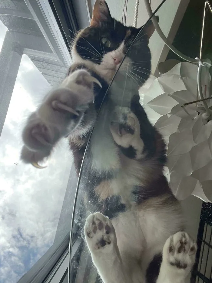 The Last Thing You See Before You Die