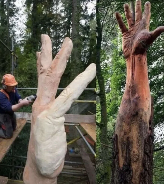 El árbol más alto de Gales fue dañado por un rayo y, en lugar de cortarlo, un artista de la motosierra hizo esto como símbolo del último intento del árbol por alcanzar el cielo.