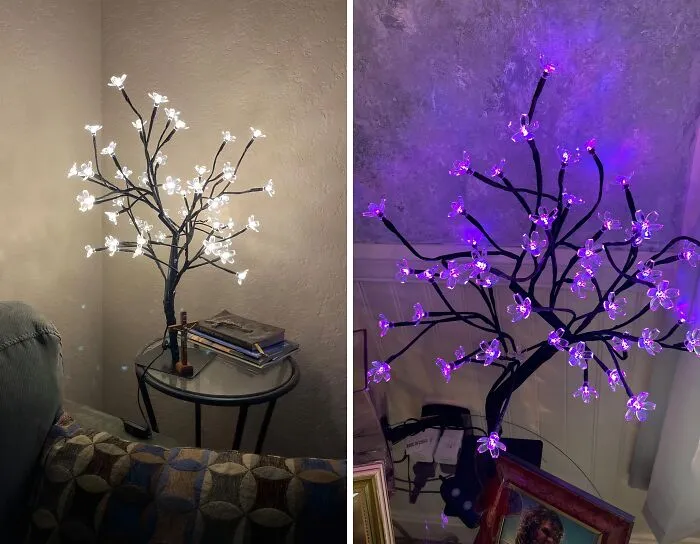 This Gorgeous <a Style="Display:inline;" Href=" Https://Www.amazon.com/Dp/B074n4xpyz?ascsubtag=6012329%2c37%2c39%2cd%2c0%2c0%2cbf-Ssrch%2c900%3a2%3b974%3a3%3b1125%3a1%3b1338%3a1%2c16936319%2c0%2c0%2c0&btn_ref=srctok-E73f7b49b1325b91&th=1&linkcode=ll1&tag=bpjaguar-20&linkid=5493cab5e105a67ca56e9494a742f71d&language=en_us&ref_=as_li_ss_tl " Target="_blank"> <span Style="Font:inherit;color:#d74b1f;"> LED Cherry Blossom Bonsai Tree Lamp</Span> Will Transform Any Room With Its Warm, Cozy Glow