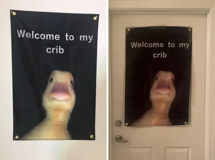 Wave Goodbye To Boring Walls With This <a Style="Display:inline;" Href=" Https://Www.amazon.com/Clrieos-Welcome-Durable-Grommets-College/Dp/B0ch8g5kzk?crid=1ncdbrrn1kalu&dib=eyj2ijoimsj9.rolke6gglwfihkdcgu4ehbxf4zd6exgojsnifx-Ap4roge2mb-N6zylgdxxhbbgpmlb8oq-2yk2cfve1rtqil-Uzywmm7iwloagqgshxou3drldqdnfywwf17opt04kpvcol_iplijh03gmoiea4l91ymzrhd6j0q1xhy3lynvjjwykcrlhy9lri4aouglw-Dxo4l75yuf3mhvlpnvkkwsnf7xdqxjmvjvhehrkanqdbyr7bhww_2k6kfz7e_a8veyajxlhifjvnx_ejxjrufqu-Mojw_2w2e_vfa8etwcc.c_ef8nrosylbfcoa2gd2t7fbg9k532vfpfnsgp_qskm&dib_tag=se&keywords=dorm+decor&qid=1724742808&sprefix=dorm+deco%2caps%2c221&sr=8-27&linkcode=ll1&tag=bpjaguar-20&linkid=c1d1f270f3308b2150d679d2e95a196f&language=en_us&ref_=as_li_ss_tl " Target="_blank"> <span Style="Font:inherit;color:#d74b1f;"> Welcome To My Crib Funny Flag</Span>
