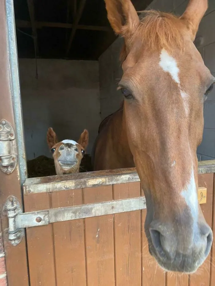 Hi There, Little Guy