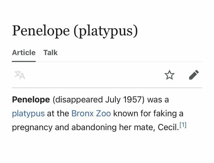40 Times People Found Such Hilarious Gems On Wikipedia, They Just Had To Share (New Pics)