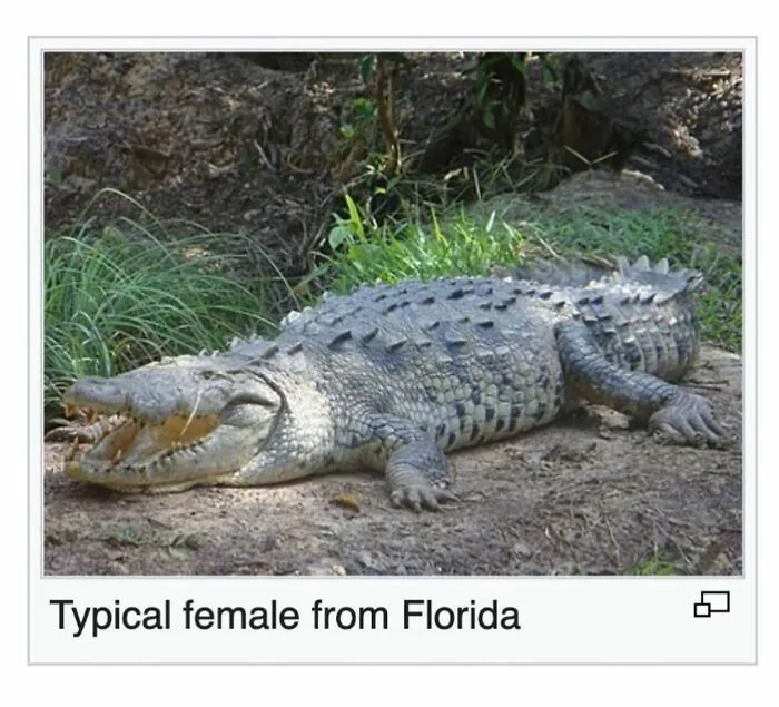 40 Times People Found Such Hilarious Gems On Wikipedia, They Just Had To Share (New Pics)