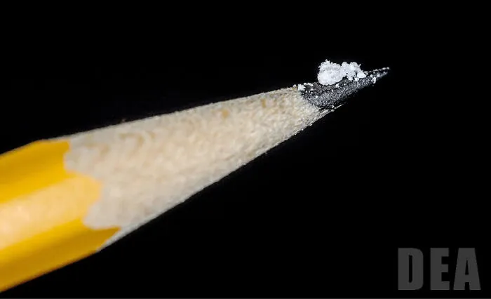 A pencil tip with a small white substance on black background, evokes oddly terrifying imagery.