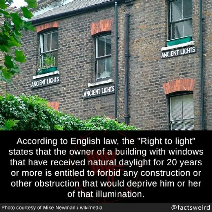 50 Facts So Fascinating They’ll Stick In Your Brain All Week