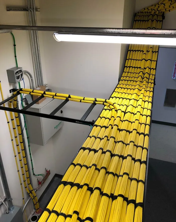 Spaghetti On A Conveyor Belt