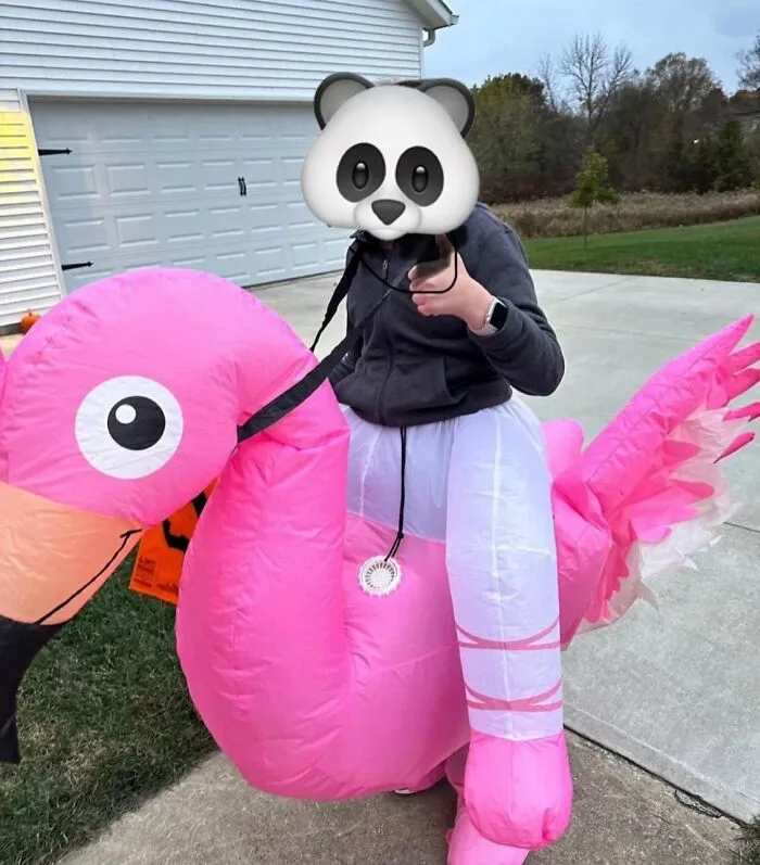 Labor Day Sales Mean You Can Finally Afford To Be Extra This Halloween!  Nab This <a Style="Display:inline;" Href="Https://Www.amazon.com/One-Casa-Inflatable-Flamingo-Halloween/Dp/B093lm3jpb?&linkcode=ll1&tag=bppanther-20&linkid=03e36e36c60d378e27cb8c446bf26a6e&language=en_us&ref_=as_li_ss_tl " Target="_blank">     <span Style="Font: Inherit; Color: #d74b1f;"> Inflatable Ballerina-Riding-A-Flamingo Costume</Span> And Prepare To Steal The Show