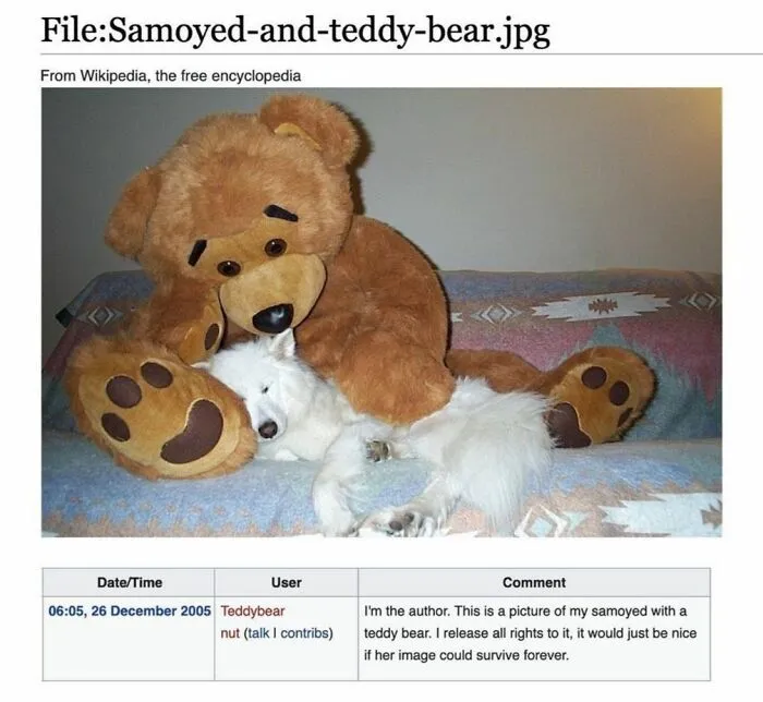 40 Times People Found Such Hilarious Gems On Wikipedia, They Just Had To Share (New Pics)