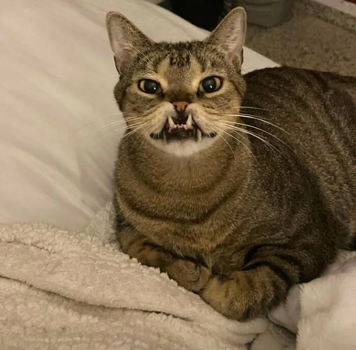 This Is Thor