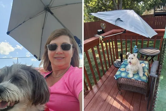 This <a Style="Display:inline;" Href="Https://Www.amazon.com/Sport-Brella-Versa-Brella-Adjustable-Umbrella-Universal/Dp/B09wcsbj7t?pd_rd_w=7c4pe&content-ID=amzn1.sym.7379aab7-0dd8-4729-B0b5-2074f1cb413d&pf_rd_p=7379aab7-0dd8-4729-B0b5-2074f1cb413d&pf_rd_r=ct19erqv72dr94vwgwtz&pd_rd_wg=14dej&pd_rd_r=c7244904-3616-4a8d-93cc-134af45b9c71&pd_rd_i=b0855b4qzr&th=1&linkcode=ll1&tag=bpwolf-20&linkid=488c4788b1bceff4e78614af11fb77bf&language=en_us&ref_=as_li_ss_tl " Target="_blank"> <span Style="Font: Inherit; Color: #d74b1f;"> SPF 50+ Adjustable Umbrella</Span> Is The Summer Essential You Didn't Know You Needed, But Trust Us, You'll Be Thanking Us Later