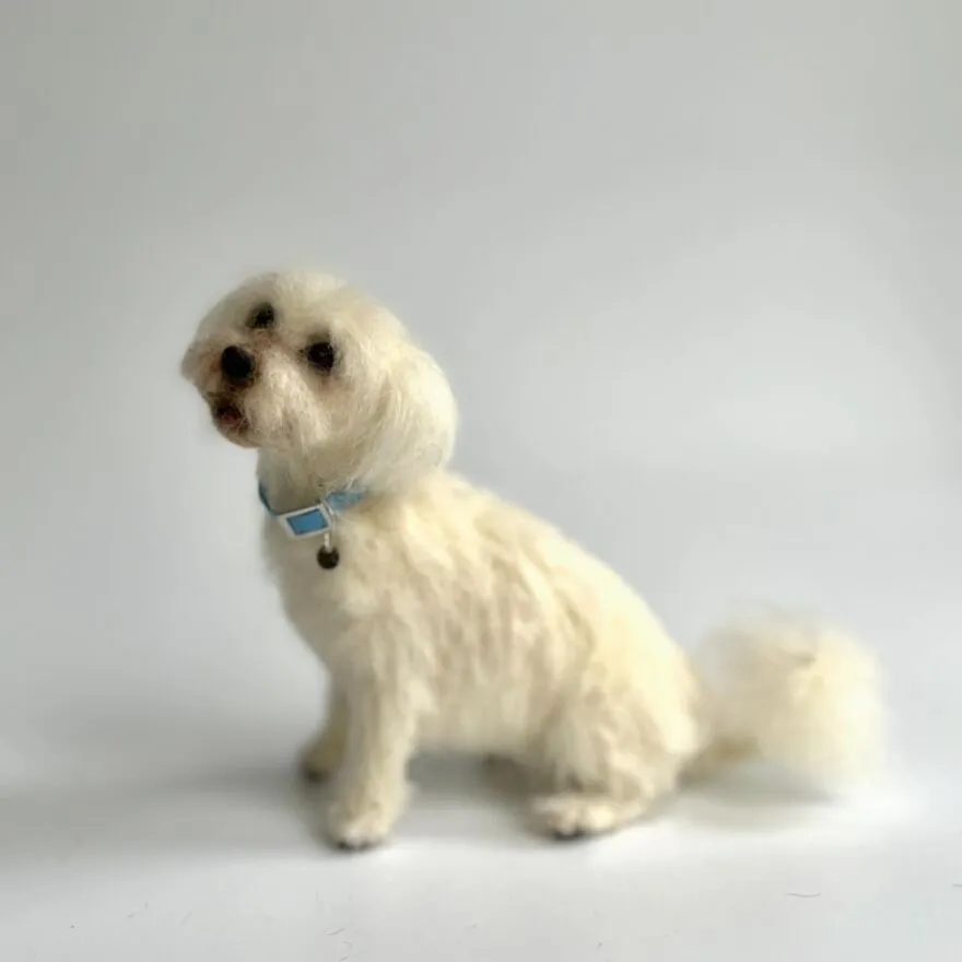 This Artist Makes Extremely Realistic Wool Figures Of Animals, And Here Are 30 Of The Best