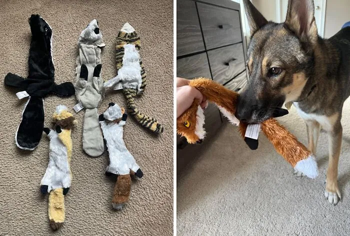 Chew, Squeak, Repeat— <a Style="Display:inline;" Href=" Https://Www.amazon.com/Fireor-Squeaky-Stuffing-Animals-Squirrel/Dp/B07ywcvkfh?&linkcode=ll1&tag=bpbear-20&linkid=83a17c0e337f07723ebb9cdc297c8b7a&language=en_us&ref_=as_li_ss_tl " Target="_blank"><span Style="Font:inherit;color:#d74b1f;"> Plush Toys</Span> That Deliver Endless Entertainment Without The Mess