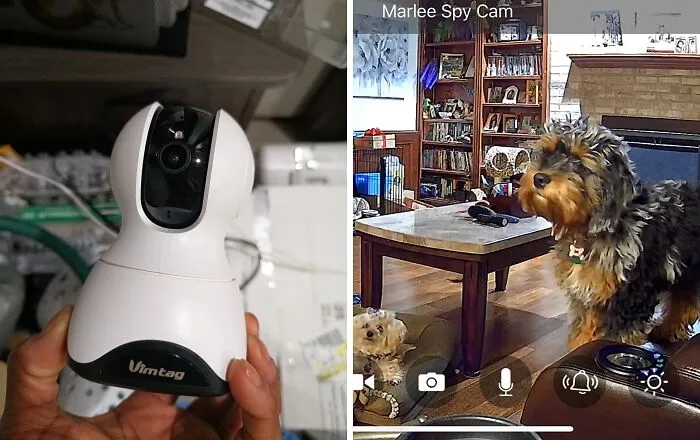 <a Style="Display:inline;" Href="Https://Www.amazon.com/Camera-Vimtag-Motion-Tracking-Recording/Dp/B09n91wmmj?dib=eyj2ijoimsj9.slhbvp-Ccyylk6ot1mwnpxt-O8cmr1t2uoxs1uvh43v6xgkaxnjwkoj9j80q-Aicw7f392frgqatsnhedliqmw.k5jkzlkzlmcriogqq6npwrnzkt25ygtlehhsddfp-So&dib_tag=se&qid=1724971587&sr=8-19&srs=19185106011&th=1&linkcode=ll1&tag=bpbat-20&linkid=cacffa6fdd511644494e633661fcfc0b&language=en_us&ref_=as_li_ss_tl " Target="_blank">      <span Style="Font: Inherit; Color: #d74b1f;"> Vimtag Pet Camera</Span>: Finally, You Can Prove Your Cat Is Plotting Against You