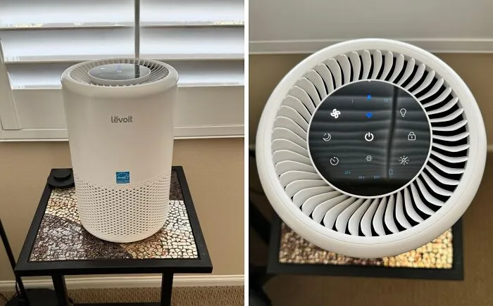 <a Style="Display:inline;" Href="Https://Www.amazon.com/Levoit-Purifiers-Allergies-Core-200s/Dp/B09nbxdxjw?dib=eyj2ijoimsj9.dt95i7sewtqhobqnuygbgiyjodgjopacrsawoakertdtkxmgjc67-Tpr3gykwbqb2simfmvgnebg_3tkch1k3fecb5aq8sxga1iivc3s4oktdqc-Zozre_w6tkodfmnul4gyboipgwqlawo8rrb8oa.sddxpkbcxp3whh52wknhvxre9zdlq80jsxd1z40i8mq&dib_tag=se&qid=1724971587&sr=8-18&srs=19185106011&th=1&linkcode=ll1&tag=bpbat-20&linkid=5860d48104717fe65a1e48712535323b&language=en_us&ref_=as_li_ss_tl " Target="_blank">     <span Style="Font: Inherit; Color: #d74b1f;"> Levoit Air Purifier</Span> Is The Smart Way To Breathe Easier While Your WiFi And Alexa Do The Heavy Lifting