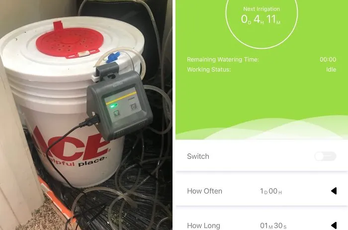 <a Style="Display:inline;" Href="Https://Www.amazon.com/Rainpoint-Automatic-Watering-Irrigation-Self-Watering/Dp/B09gydbc7y?dib=eyj2ijoimsj9.h1y4ksqon1avla10onhcxx1s8mgckqownvkybfsazkh5sniomexkh30koerfkjyl7x4brzlcg1phxappyiozg78kbe1psdi4f74crs5sktapzt2curjdf-P6hp_38ptbrj18_qkk8rursjscgujdwm-Bskctlh2s2ddv4y11xmk.t1a4j9vt7nuyk0-Xg0tme64hn955iirv0ryhnikyd8s&dib_tag=se&qid=1724971631&sr=8-40&srs=19185106011&linkcode=ll1&tag=bpbat-20&linkid=3785ded887da45f0b3242a72a6f1de22&language=en_us&ref_=as_li_ss_tl " Target="_blank">      <span Style="Font: Inherit; Color: #d74b1f;"> Rainpoint WiFi Automatic Watering System</Span>: Keeping Your Plants Alive While You Live Your Best Life