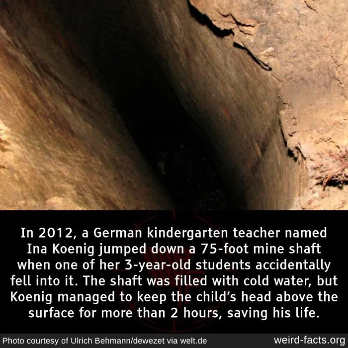 50 Facts So Fascinating They’ll Stick In Your Brain All Week