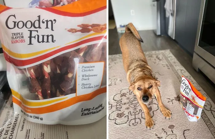 Treat Time Just Got Tastier — <a Style="Display:inline;" Href=" Https://Www.amazon.com/Triple-Flavor-Kabobs-Ounce-Rawhide/Dp/B08wbnyk4t?th=1&linkcode=ll1&tag=bpbear-20&linkid=65ad5ff13f4c5495c8f6a986466a9c29&language=en_us&ref_=as_li_ss_tl " Target="_blank"><span Style="Font:inherit;color:#d74b1f;"> Good'n'fun Triple Flavor Kabobs</Span> That Your Pup Will Love