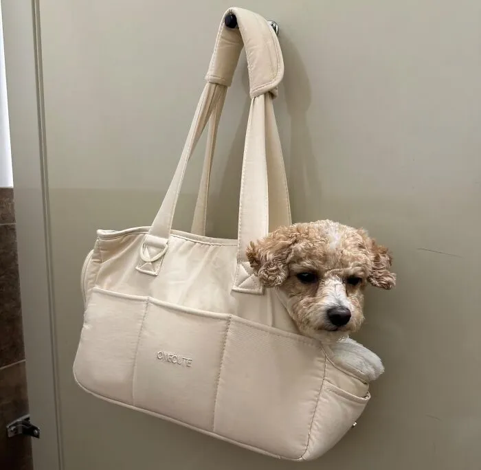Ready For Every Journey: This <a Style="Display:inline;" Href=" Https://Www.amazon.com/Onecute-Carrier-Rabbit-Pockets-Collapsible/Dp/B0c2vc5ws7?th=1&linkcode=ll1&tag=bpbear-20&linkid=700726909109ae16b8d90cca84bdd788&language=en_us&ref_=as_li_ss_tl " Target="_blank"><span Style="Font:inherit;color:#d74b1f;"> Cotton Carrier With Generous Pockets</Span> Is Perfect For Small Pets And Their Essentials