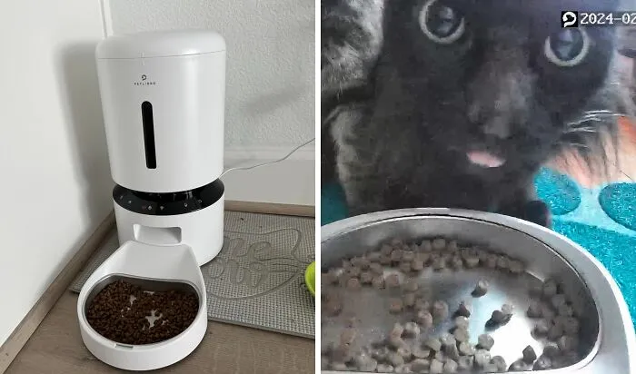 Feeding Made Smarter: Watch And Feed Your Cat With This <a Style="Display:inline;" Href=" Https://Www.amazon.com/Petlibro-Automatic-Feeder-Camera-Blockage/Dp/B0b5zggwbq?th=1&linkcode=ll1&tag=bpbear-20&linkid=d2feae20859cd65b0646f8102499cb8e&language=en_us&ref_=as_li_ss_tl " Target="_blank"><span Style="Font:inherit;color:#d74b1f;"> Innovative Feeder That Includes A Camera</Span>