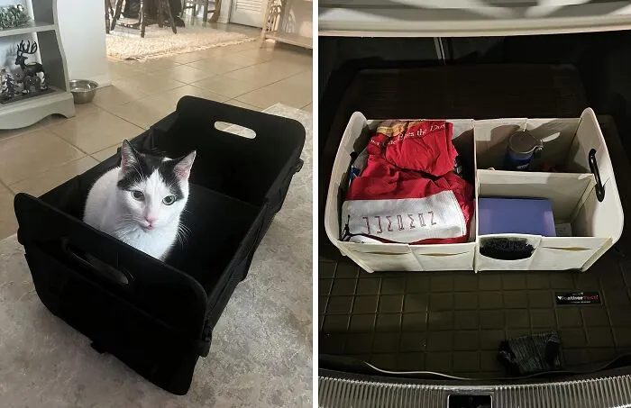 Your Car's Backseat Is About To Go From "Disaster Zone" To "Organized Oasis" With This <a Style="Display:inline;" Href="Https://Www.amazon.com/Aokjoy-Car-Trunk-Organizer-Car-Storage-Organizer-Collapsible-Multi-Compartment-Car-Organizer-Adjustable-Straps-Car-Organizer-For-Suv-Beige/Dp/B0bvzzyt3r?pd_rd_w=vmkdy&content-ID=amzn1.sym.7379aab7-0dd8-4729-B0b5-2074f1cb413d&pf_rd_p=7379aab7-0dd8-4729-B0b5-2074f1cb413d&pf_rd_r=ct19erqv72dr94vwgwtz&pd_rd_wg=14dej&pd_rd_r=c7244904-3616-4a8d-93cc-134af45b9c71&pd_rd_i=b0blvs48pf&th=1&linkcode=ll1&tag=bpwolf-20&linkid=82d813bfebf18b149f9caf1f368e27d3&language=en_us&ref_=as_li_ss_tl " Target="_blank"> <span Style="Font: Inherit; Color: #d74b1f;"> Car Storage Organizer</Span>