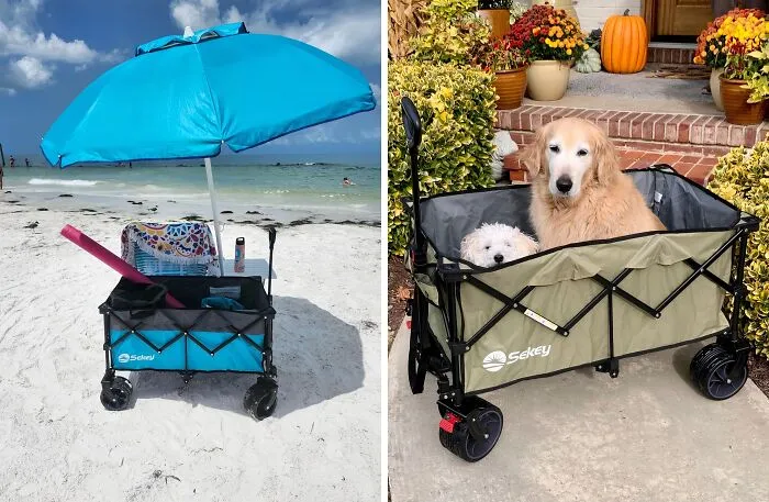 From Beach Trips To Farmers Markets, This <a Style="Display:inline;" Href="Https://Www.amazon.com/Dp/B0c5424yv7?ascsubtag=7697416%2c20%2c37%2cd%2c0%2c0%2c0%2c900%3a2%3b974%3a3%3b1125%3a1%3b1338%3a1%2c47916962%2c0%2c0%2c0&btn_ref=srctok-Ae6d6b4a6fecd91a&th=1&linkcode=ll1&tag=bpwolf-20&linkid=47eed2d0ef6704c5efdb111bf6bfaca0&language=en_us&ref_=as_li_ss_tl " Target="_blank"> <span Style="Font: Inherit; Color: #d74b1f;"> Collapsible Wagon</Span> Is Ready To Haul All Your Goodies