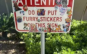 30 First-World Anarchists That Don’t Believe Rules Apply To Them (New Pics)