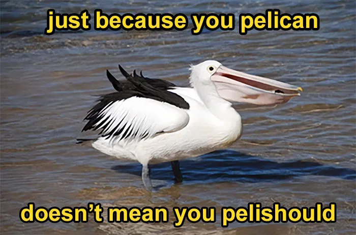 30 Hilariously Brilliant Reaction Memes That People Deserve For Making Dumb Decisions