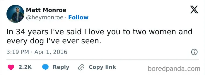 50 Of The Most Hilarious, Cute And Wholesome Posts On X About Dogs