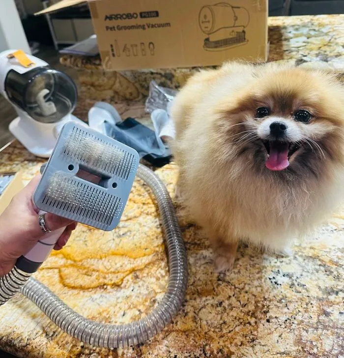 The All-In-One Solution: A <a Style="Display:inline;" Href=" Https://Www.amazon.com/Airrobo-Grooming-Capacity-Shedding-Groomer/Dp/B0bynf9gzs?&linkcode=ll1&tag=bpbear-20&linkid=2faaa1c2e9f5b88d315fcfc629c93685&language=en_us&ref_=as_li_ss_tl " Target="_blank"><span Style="Font:inherit;color:#d74b1f;"> Grooming Vacuum</Span> That Keeps Your Dog Clean And Your Home Fur-Free