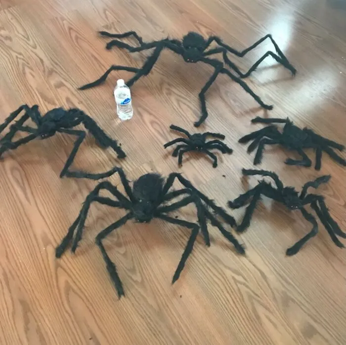 Spooky Season Is Creeping Up! Scare The Daylights Out Of Your Friends And Family With This Set Of <a Style="Display:inline;" Href="Https://Www.amazon.com/Dreampark-Spider/Dp/B018012fye?&linkcode=ll1&tag=bppanther-20&linkid=7effa4abb6a024ba7d31cfe54103f1f8&language=en_us&ref_=as_li_ss_tl " Target="_blank">     <span Style="Font: Inherit; Color: #d74b1f;"> Realistic Hairy Spiders</Span>