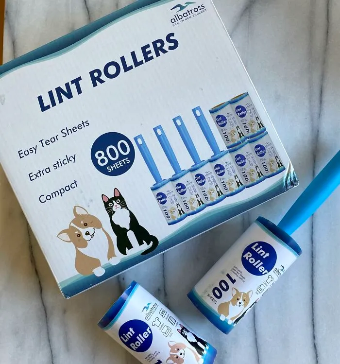 Fabric lampshades are notorious for attracting dust and pet hair, but cleaning them doesn't have to be a hassle. Gently roll a   <a style="display:inline;" href="https://www.amazon.com/Rollers-Sheets-Remover-Clothes-Furniture/dp/B0BGR4W5CD?crid=1OFDAI8H9SDLL&dib=eyJ2IjoiMSJ9.ss0aqfV_bNlUxdyOjlF9DPsXi_WTf1FnBJX0CucJTdlbCh_C7zUE2-wHw5uE6zU6427eT9Byc2ygzFZLcsU8ocOcOq-q50o0bEjvLqqA3g_586QuRnKcMX8_ZqeP0NqhegVtVhsMYri_VdexZBVPQbRElemiJ7hZ20NY6xgDKGXgsTu3xnocuQMHSgGnWN-jwFBKXxQBUCxJBX5DDu1l3CKkN0CLEr_4XTN2_y-q68iNRCmmGN81_Qrr0PJrqmbrUtso9EjEeKaqMg-zNlZ_UdlVpuo074JB0QIvIDb8-w8.R5RLOMMDHrYYYDg4M3t6OoP3c16uHd7t432HjfTlfIc&dib_tag=se&keywords=lint+roller&qid=1723176568&sprefix=lint+rolle%2Caps%2C635&sr=8-1-spons&sp_csd=d2lkZ2V0TmFtZT1zcF9hdGY&psc=1&linkCode=ll1&tag=bpyak-20&linkId=640ad4a14c9bb8683743cb21857db5c8&language=en_US&ref_=as_li_ss_tl " target="_blank"><span style="font: inherit; color: #d74b1f;">lint roller</span> over the surface to pick up all those pesky particles. Remember to be gentle, as lampshades can be delicate. A clean lampshade will brighten up any room!