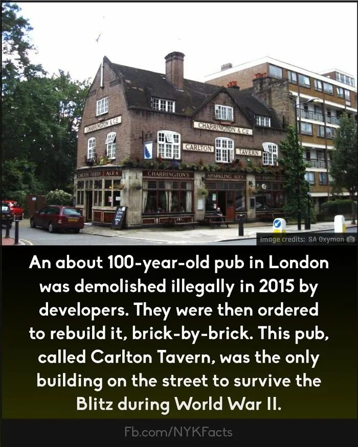 ‘Now You Know’: 50 Random Facts That Are Too Interesting To Scroll Past