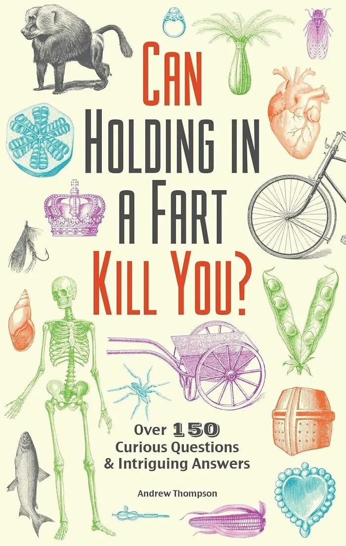 <a Style="Display:inline;" Href="Https://Www.amazon.com/Can-Holding-Fart-Kill-You/Dp/1612434754?ie=utf8&linkcode=ll1&tag=bplemur-20&linkid=eee68399cd6be374dc22e5e891ca5b1f&language=en_us&ref_=as_li_ss_tl" Target="_blank"><span Style="Font: Inherit; Color: #d74b1f;"> "Can Holding In A Fart Kill You?" </Span> <br><br>  Finally, The Answers To Life's Most Pressing Questions... And Some You Didn't Even Know You Had