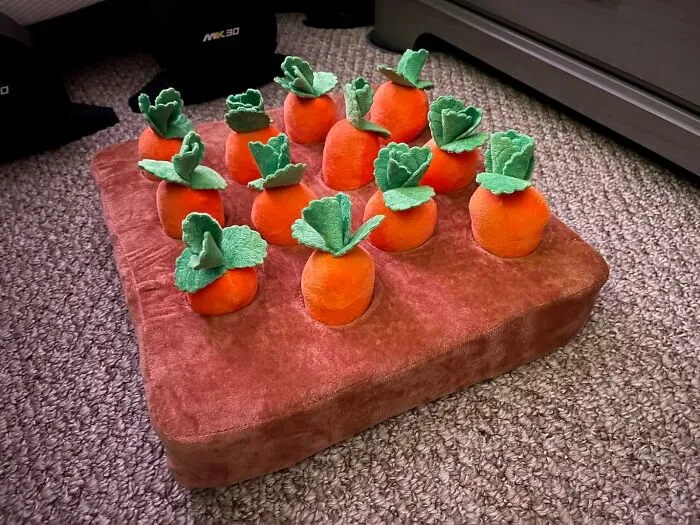 Forget Boring Squeaky Toys, This <a Style="Display:inline;" Href="Https://Www.amazon.com/Ivviqq-Interactive-Toys%ef%bc%8csqueak-Non-Slip-Nosework/Dp/B0bpsk93mp?ie=utf8&th=1&linkcode=ll1&tag=bplamb-20&linkid=07e586aa0a760f54277a62134023aa26&language=en_us&ref_=as_li_ss_tl" Target="_blank"> <span Style="Font: Inherit; Color: #d74b1f;"> Interactive Dog Toy</Span> Is A Puzzle And A Plaything All In One. Your Pup Will Be Digging For Those Carrots Like It's Buried Treasure!