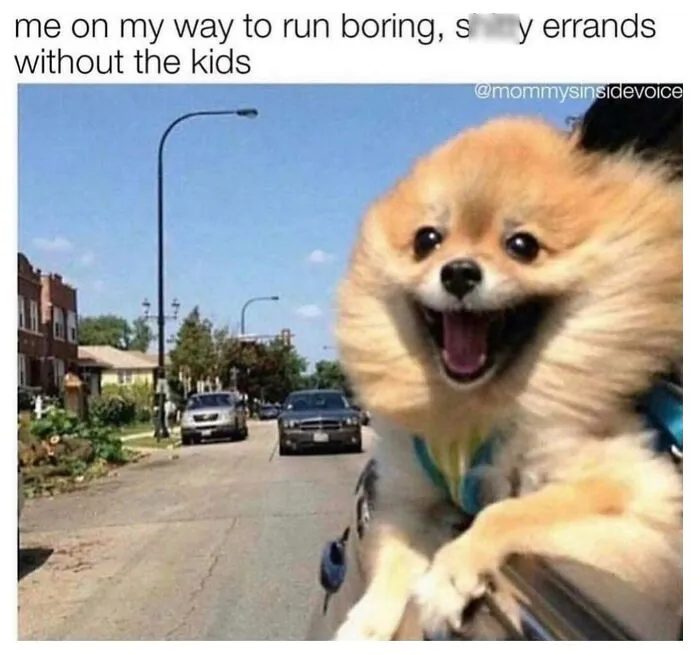 50 Chaotic And Funny Memes That Show What Parenting Is All About (New Pics)
