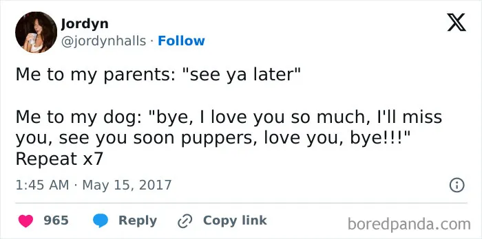 50 Of The Most Hilarious, Cute And Wholesome Posts On X About Dogs