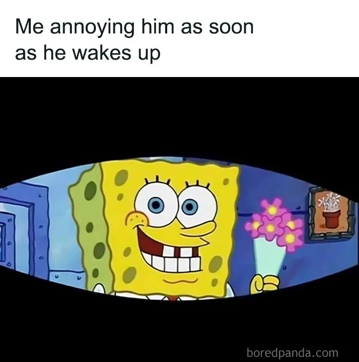 80 Funny Relationship Memes That Every Couple Will Relate To